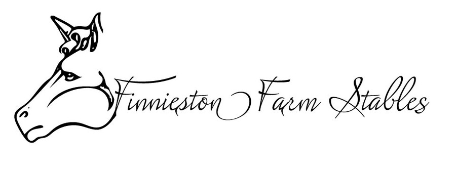 Finnieston Farm Stables logo designed by BCreativ